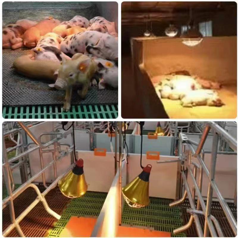 Customizable Livestock Heating Lamp Cover for Farm Animals