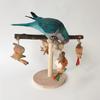 Bird Wood Perch Rotating Molar Stand for Parrots Conure Supplies Budgies Grinding Scratchers for Small Medium Parrots