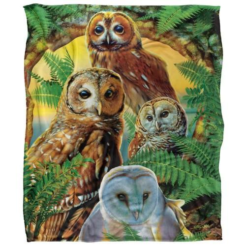 JQ Licensing Silky Owl Supersoft Blanket
