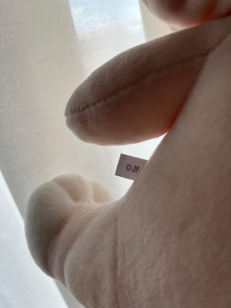 [USED] Stray Kids SUKIZ Huggable Plush Toy Pogari