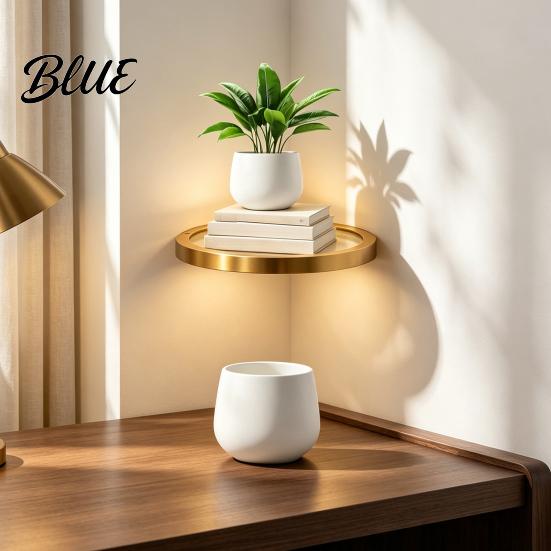 Modern Gold Metal Display Shelf Floating Wall with LED Light Rack Warm Ambient Light for Plants Book Space Saving Mounted Decor Hidden Bracket Sleek