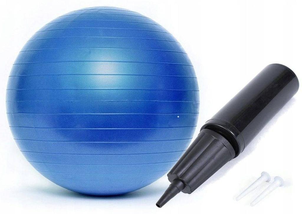 Fitness Rehabilitation Ball 55 Cm Bl003 Smj