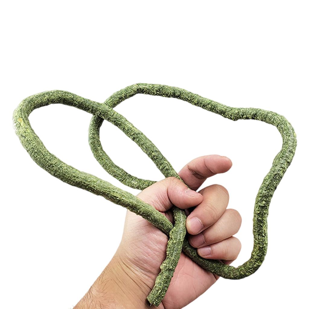 Reptilien Pflanzenversteck Liane Ast Blätter Terrarium Dschungel Lebensraum für Echsen Geckos Schlange Dekorative Kunstpflanze