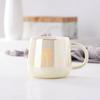 High-Value Ceramic Water Cup With Lid And Spoon, Household High Temperature Resistant Office Small Fresh And Simple Wind Cup