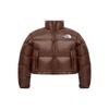 Women's Nuptse Short Jacket Brown NJ1DQ96B