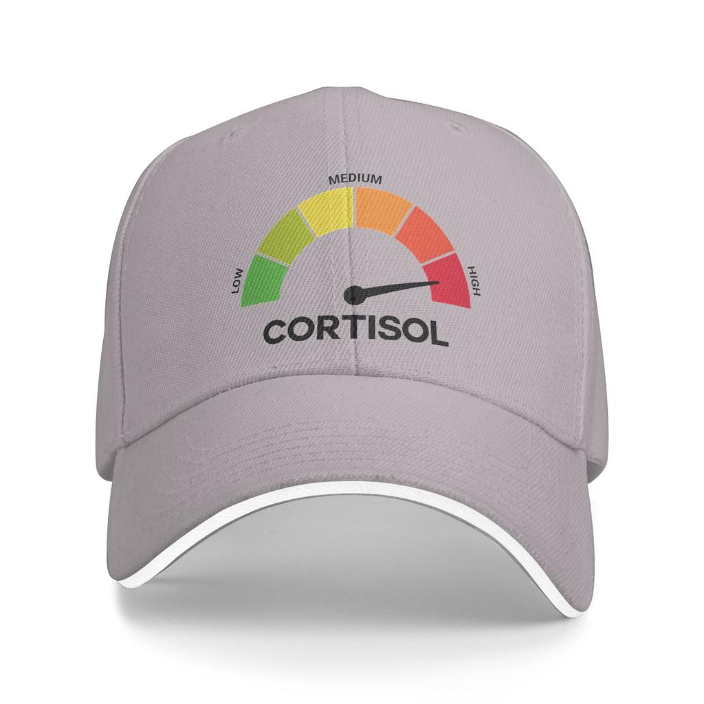 Funny Cortisol High Level Stress Meter Meme Baseball Cap Fashion Couple Hip Hop Hats Hot Sale Print Kpop Rock Baseball Caps Gift