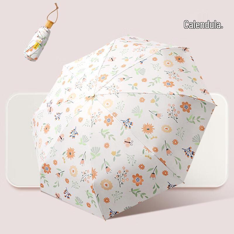 Kadenuo Floral Folding Sun and Rain Umbrella