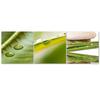 Set mit drei Bildern auf Leinwand, 3-teilig, Nature Zen Leaf