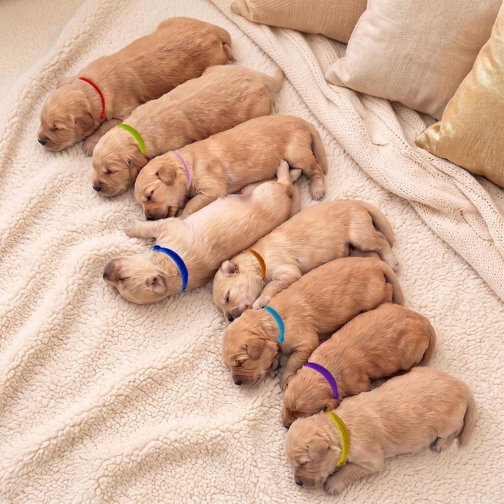 16pcs Breathable Puppy Collars Adjustable Whelping Collars Newborn Puppy Collars  Newborn Pets