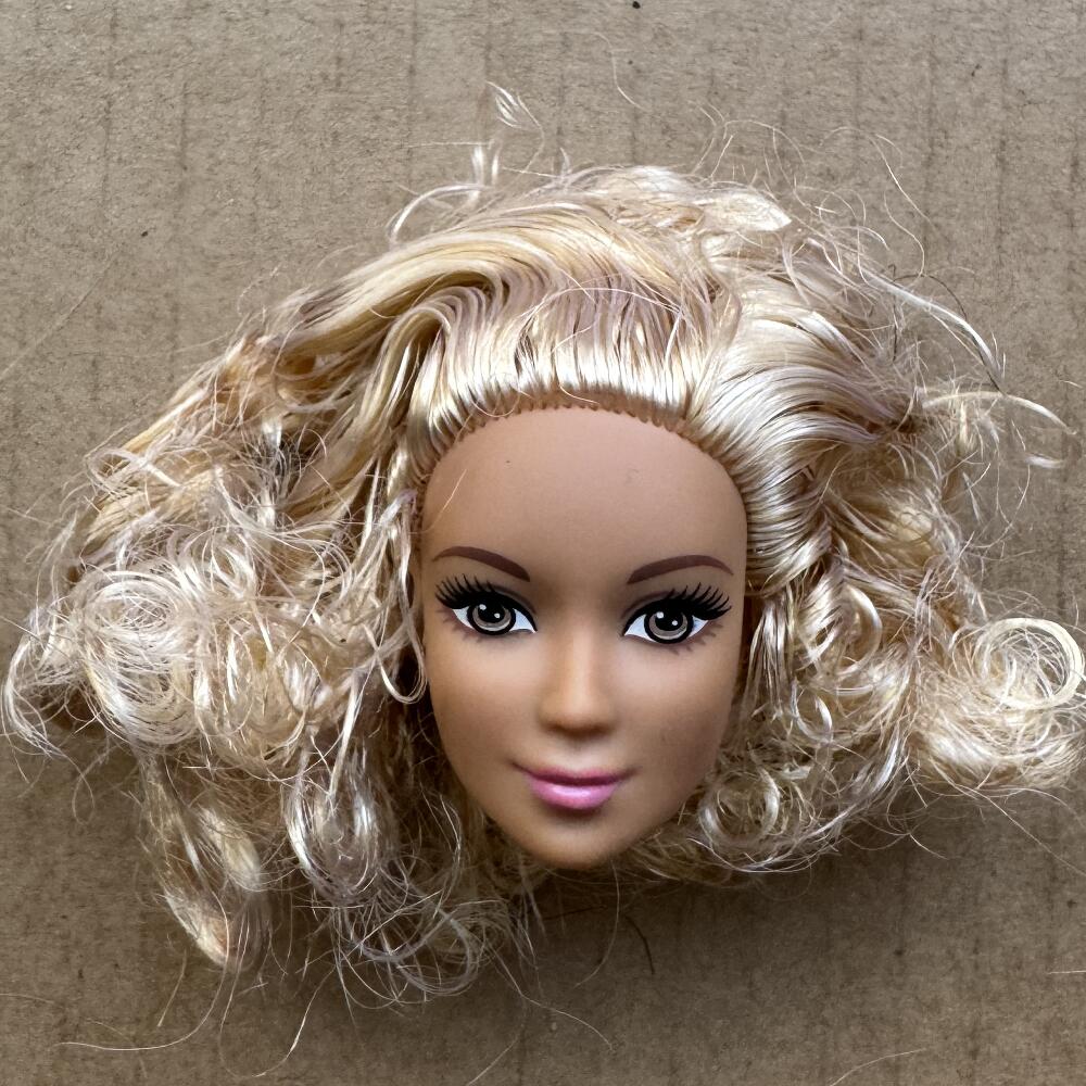1/6 Doll Heads Rare Face White Beige Brown Skin Tone