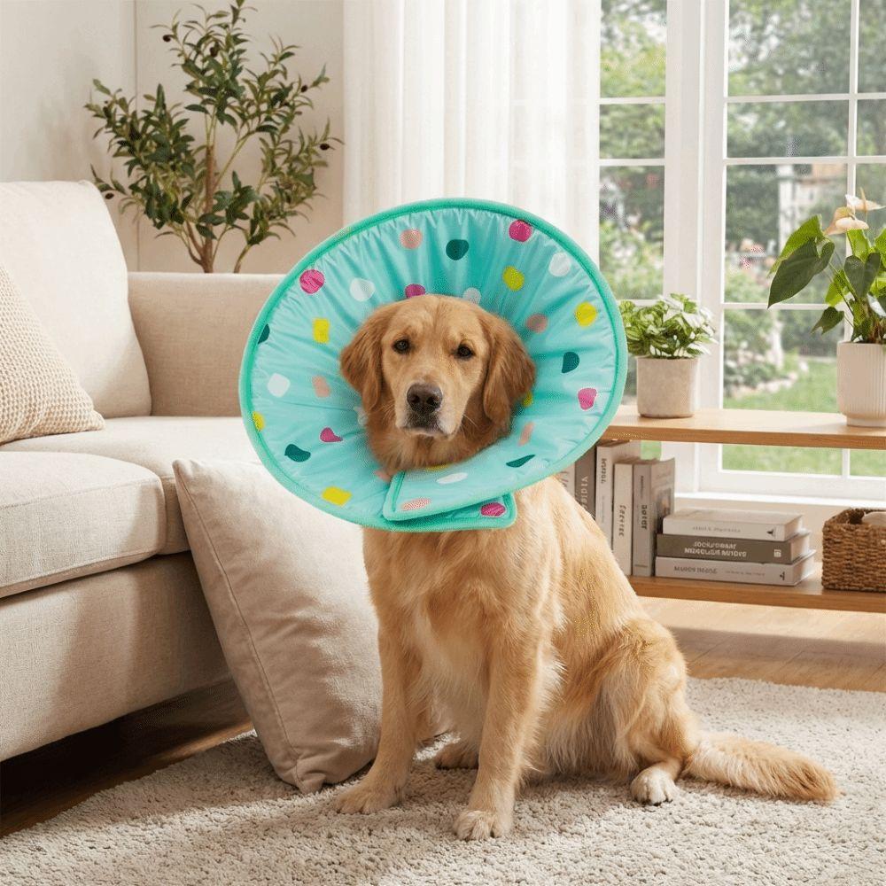 Comfortable Dog Recovery Collar Soft Cat Protective Collar Pet Cone Collar  Grooming