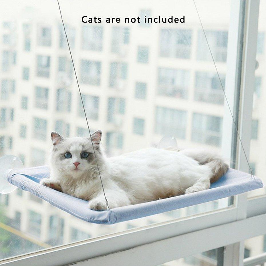 suction cat hammock