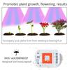Red + Blue Plant Light Beads 20/30/50W Full Spectrum Plant Growth COB LED Grow Light Chips Greenhouse Tent Growing 110/220V