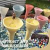 1Pc Colorful Bee Insect Drinking Cup, Bee Insect Drinking Cup, Bee Cups, Thirsty Pollinators Need a Drink, Bees Need Safe Places To Drink