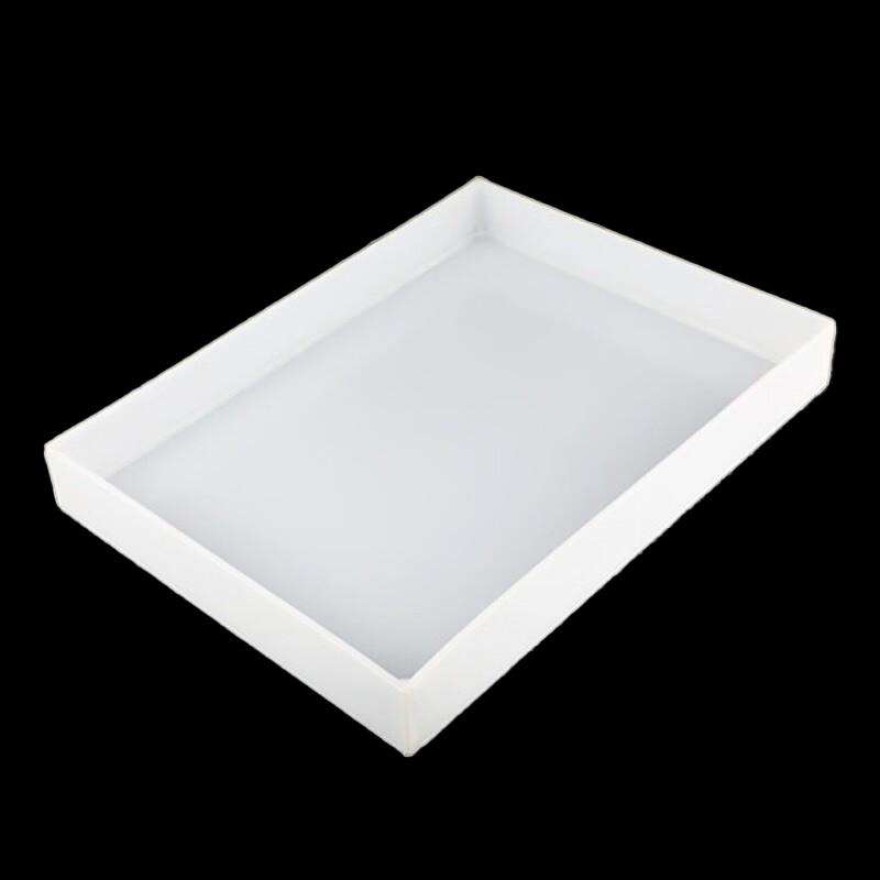 Corrosion-Resistant PP Lab Tray