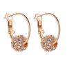 Women's Earring Drop Earring Stud Ball Earrings Fashion Jewelry Accessories
