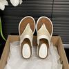 Casual vacation retro slope heel flip-flops women's summer wear 2025 new with skirt heightening cool slippers