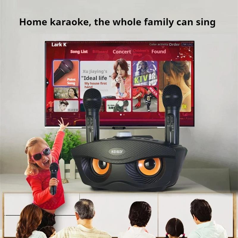 OWLS 30W Multi-function Subwoofer Surround Sound Wireless Bluetooth Speaker with Dual Mics Portable Family Party Karaoke Player
