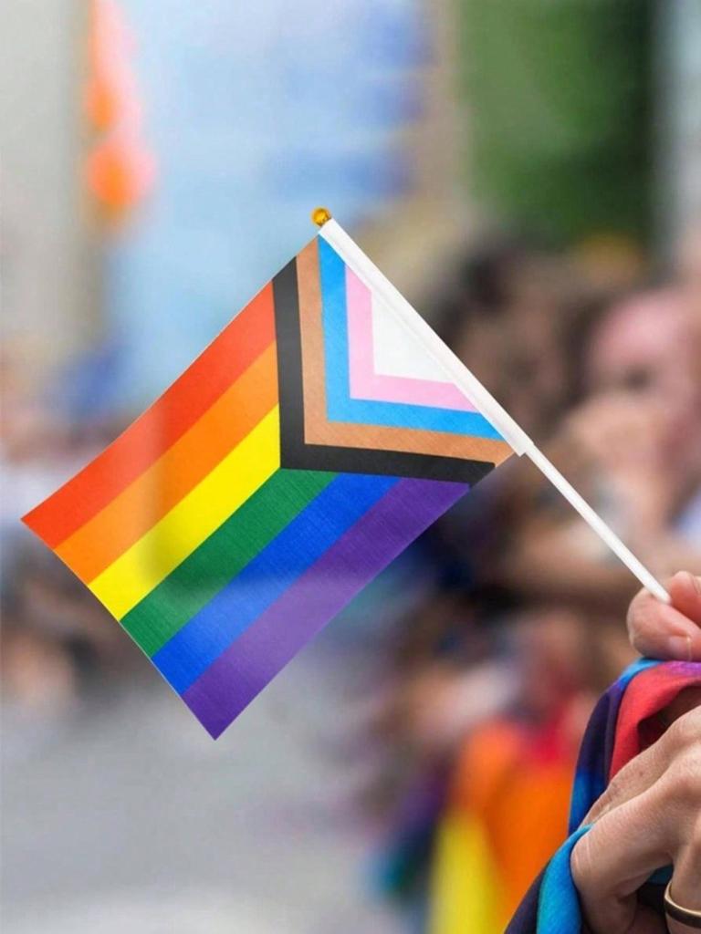 Home Party Supplies Hand Wave Rainbow Pull Flag LGBT Rainbow Flag 10pcs1set