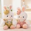 Fluffy Bear Wear Clothes Plush Toys With Hats Rabbit Stuffed Animal  Home Decor