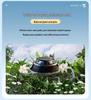 Solar Rotating Car Air Freshener: Long-Lasting, Light Fragrance, Premium Car Ornament
