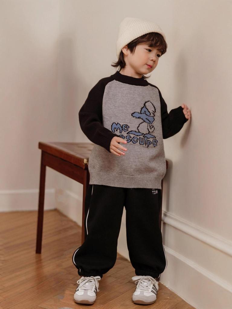 2025 Winter Baby Boy Cartoon Jacquard Knitted Wool Pullover – High-Quality Children's Sweater
