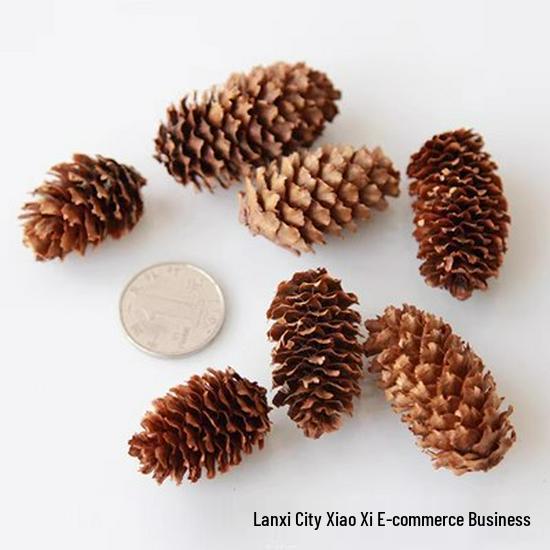 Handmade Wild Pine Cone Christmas Tree Decorative Branches with Dried Flowers