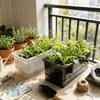 Self Watering Seedling Tray Plastic Growing Box Practical Plant Nursery Pot  Vegetable Gardening