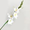 Künstliche Gladiolenblumen 22" Real Touch Blume mit langem Stiel 4 volle Blüten und 1 Knospe Gefälschte Orchidee für Vase