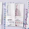 Newcomer 0.01 Anti-Myopia Eye Protection Dual-Scale Ruler for Students, 15cm & 20cm
