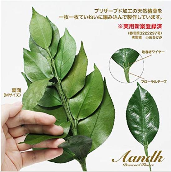 A&K Premium Preserved Sakaki Tree [SS Size  1 Pair  Approx. 23cm Tall X 10cm Wide] Made with Premium Tanba Camellia Leaves, Miniature Artificial