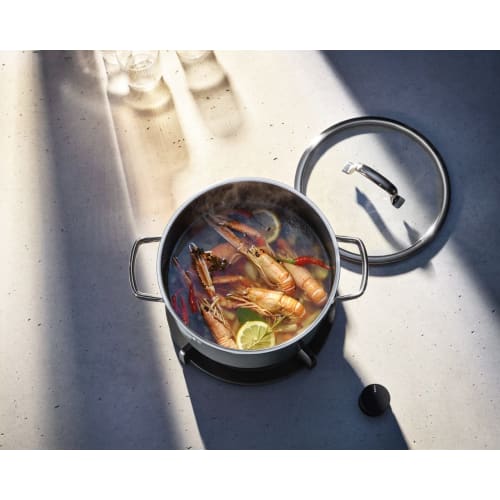 WMF FusionTech Mineral Low Casserole PL (Platinum) 20cm, Shallow, Double-handled Pot, Compatible with Induction and Gas Stoves, Waterless Cooking, Mad