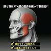 3 Pieces Jaw Training Exerciser Face Fitness Ball Facial Muscle Strengthening Beauty Device Slim Healthy Double Chin Exercise Equipment Unisex Levels