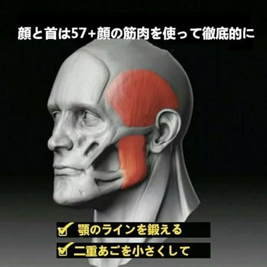 3 Pieces Jaw Training Exerciser Face Fitness Ball Facial Muscle Strengthening Beauty Device Slim Healthy Double Chin Exercise Equipment Unisex Levels