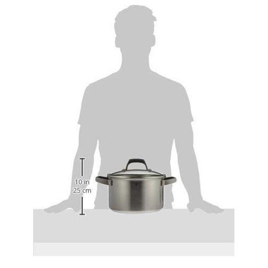 Zwilling J.A. Henckels Japan HI Style Basic Deep Double Handle Pot 24cm 6L Stainless Steel Polished Finish Stock IH Compatible Silver