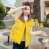 Short Thickened Fashion Vest Down Cotton Vest Vest Autumn and Winter Jacket Foreign Style New Trendy Vest Women