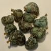 10Pcs Natural Green Turbo Shell Charms 22×27~30×35mm Sea Snail Conch Pendants With Gold Metal Bail For DIY Beach Necklace Earring Jewelry Making