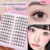 Cute Eyelash Shangpin Light Face Women's Team Glue-Free Self-Adhesive Fake Eyelashes! Korean Style Aidou Nature Oxygen Eyelash Artificial