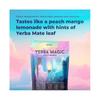 (3bags) 1-3bags Yerba Mate Instant Tea Powder With Prebiotics
