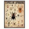 Retro Vibrant Spider Illustration Canvas Poster Educational Animal Prints for Living Room Wall Art Home Decor Room, No Frame