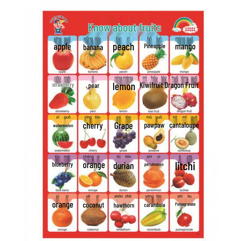 Waterproof Baby Pinyin & Character Recognition Wall Chart for Early Education
