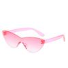 Purple Black Red Sunglasses Cateye Eyewear Women Brand Designer Small Triangle Vintage Sun Glasses Retro Sexy Cat Eye Sunglasses