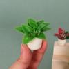 5pcs Plastic 1:12 Dollhouse Miniature Plant Green Luo Plant  Outdoor Doll House Model Accessories