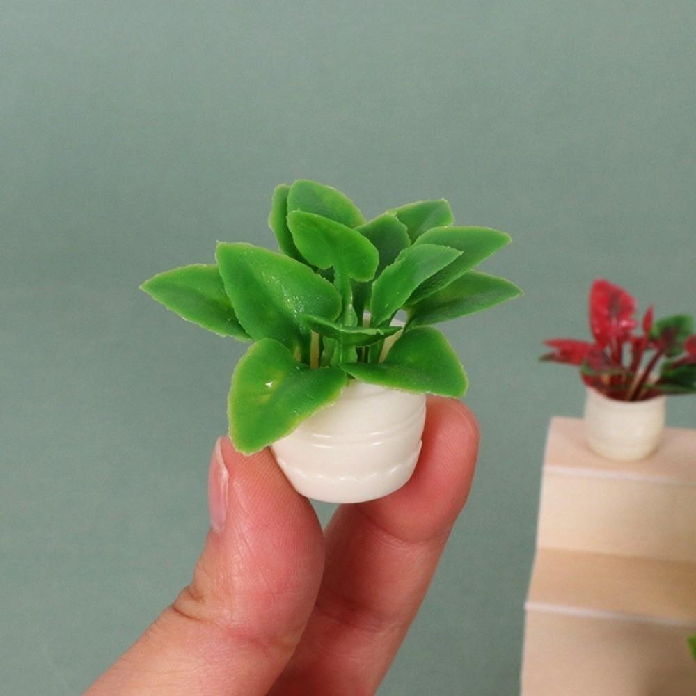 5pcs Plastic 1:12 Dollhouse Miniature Plant Green Luo Plant  Outdoor Doll House Model Accessories