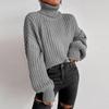 Damen Herbst/Winter Rollkragen Locker Gestrickter Pullover, Langarm Einfarbig Mode Pullover