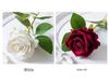 Eternal Rose Night Light: Glass Dome Gift for Christmas, Valentine's Day, or Qixi Festival