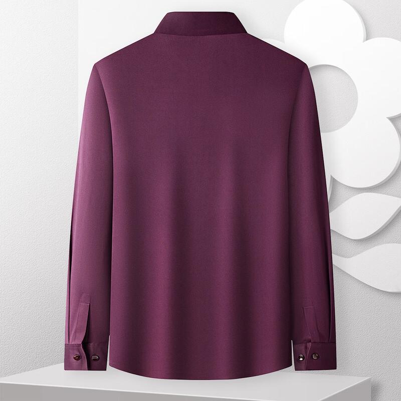 Chemise Manches Longues Facile d'Entretien pour Homme MONTAGUT