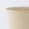 Wired Beans Eternal Shigaraki Ware Wheat Beige 240ml Mug, Mug,