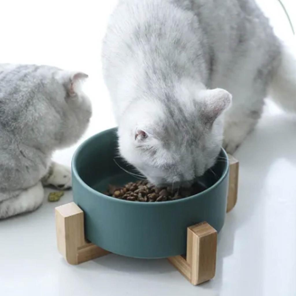 Ceramic Dog Cat Bowl Multipurpose Large Capacity Pet Bowl with Wooden Stand for Cats Dogs Pets