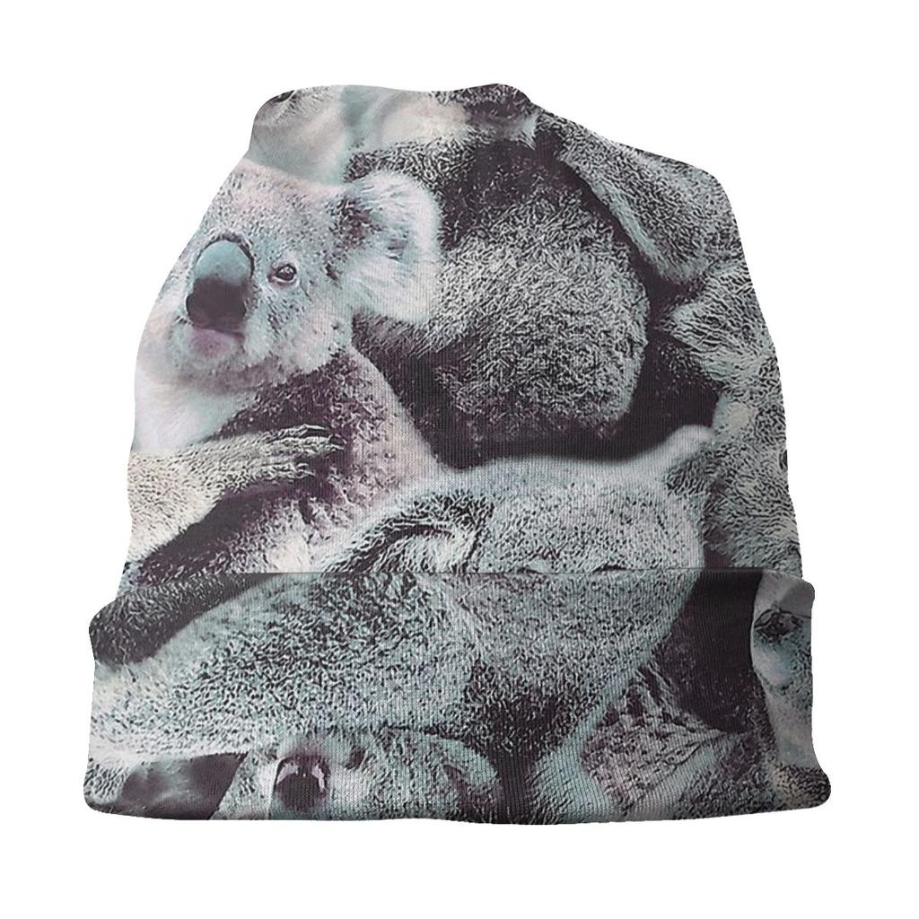 Animal Meme Koalas Unisex Women Beanies Outdoor Ski Cap Double Layer Fabric Bonnet Hat